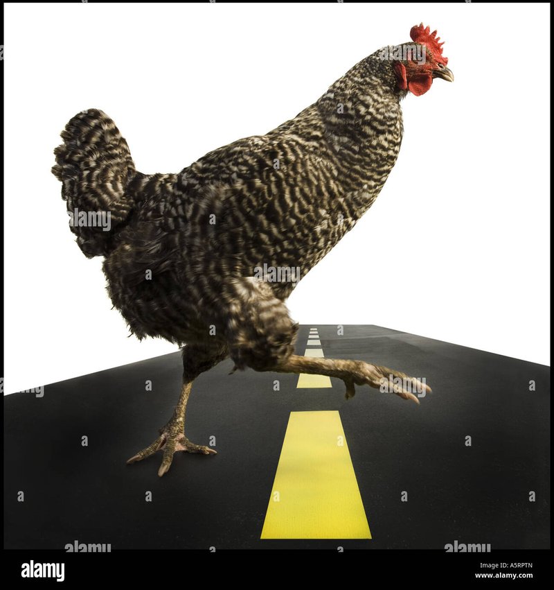 Discover chicken road españa