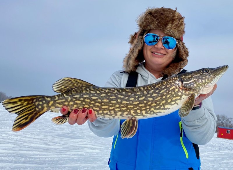 Catch Big Winnings with Ice Fishing Casino Games in the UK - overview