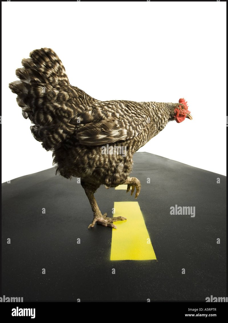 De Volledige Gids Voor Het Populaire Speelgoed Chicken Road in Nederland, chicken road gokspel