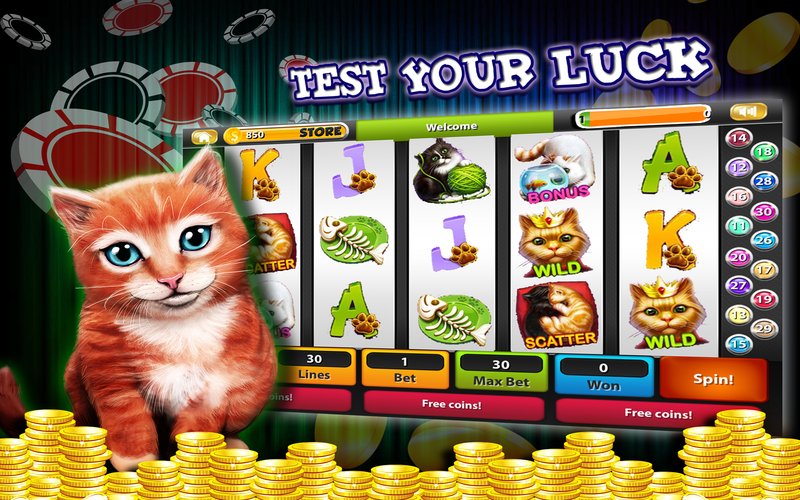 Image: Erfahren Sie die Geheimnisse von Catspins Deutschland: Top Promotions und Boni